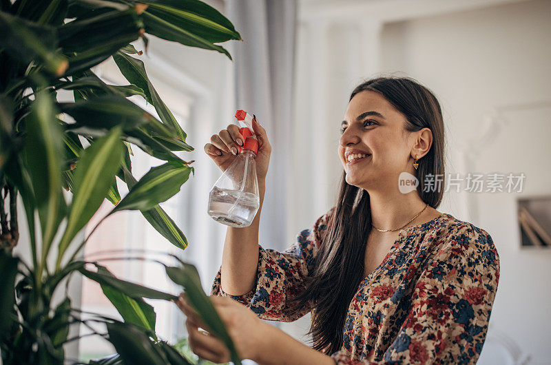 给室内植物浇水的妇女