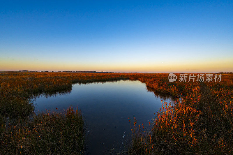 施埃尔蒙尼科格(Schiermonnikoog)初冬清晨的盐沼日出