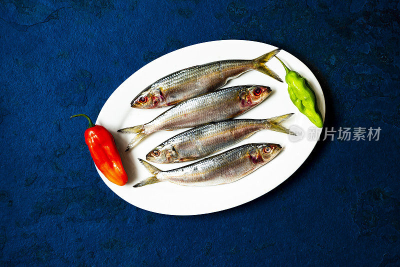 四个沙丁鱼在一个白色的盘子里