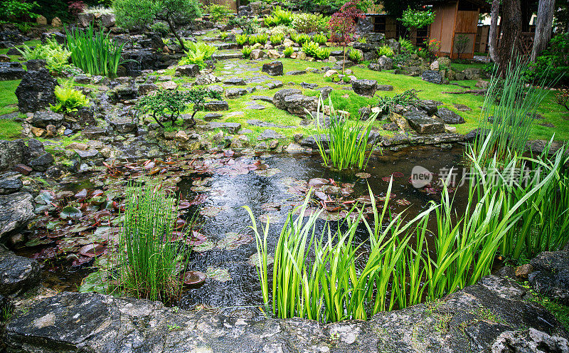 维也纳日本花园中的池塘(植物园内)和岩石