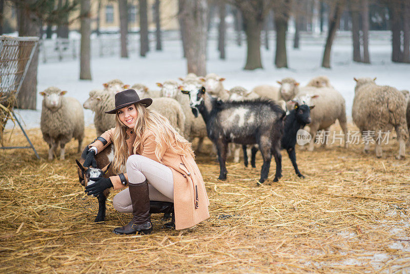 与绵羊和山羊一起享受寒假的女人