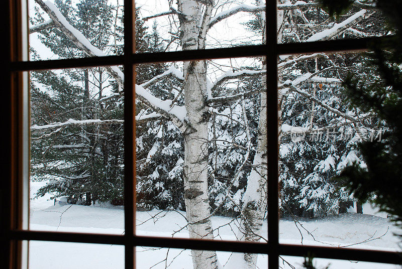 靠窗过冬，靠窗过冬