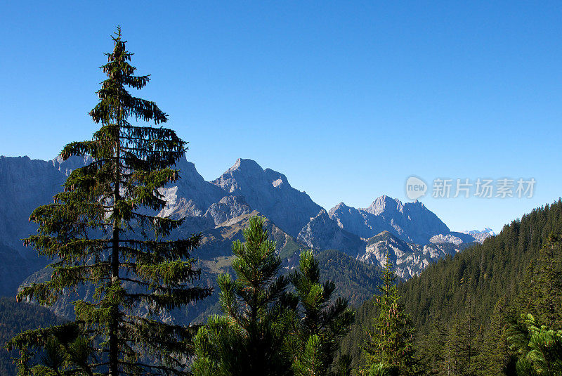 阿尔卑斯山