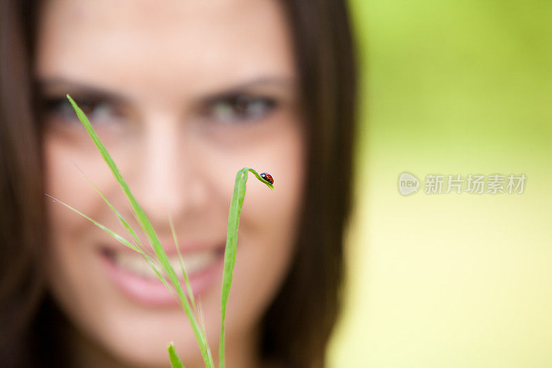 夫人和瓢虫