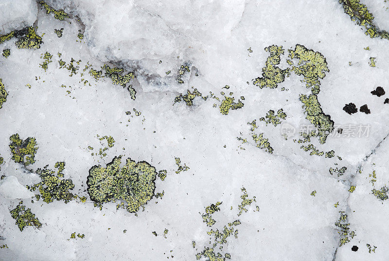 白色岩石表面长满绿色苔藓