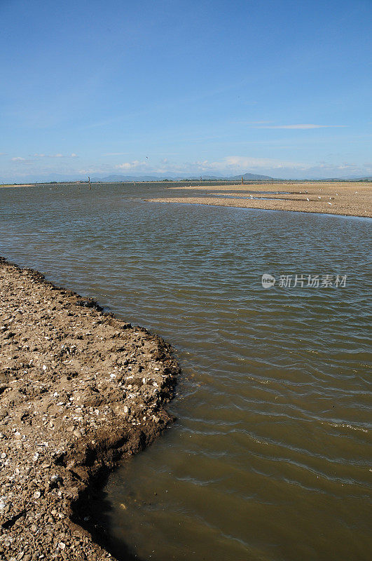 Polonnaruwa、斯里兰卡。