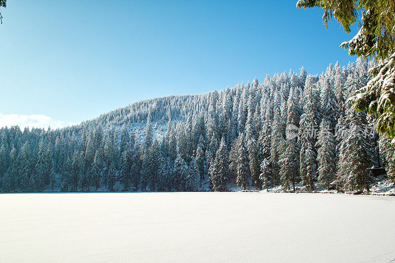 冬天在黑森林的Mummelsee湖