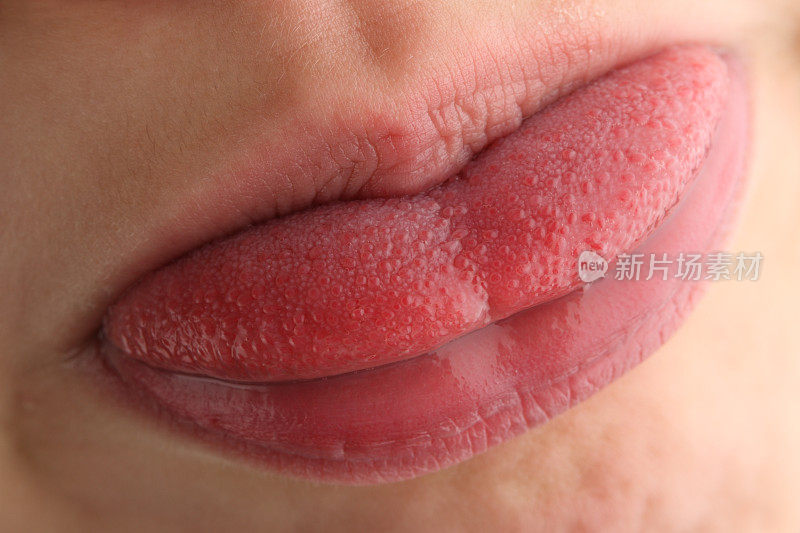 舌头上的味蕾在嘴唇之间