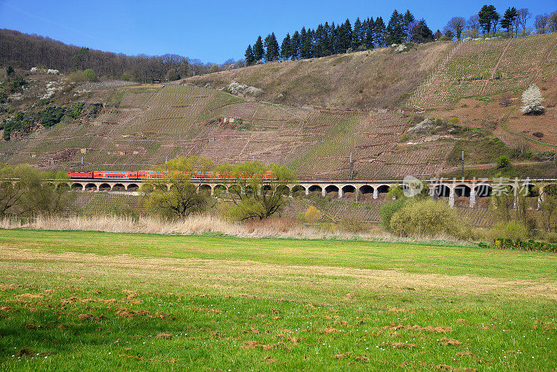 红色火车在高架桥上行驶，穿过葡萄园