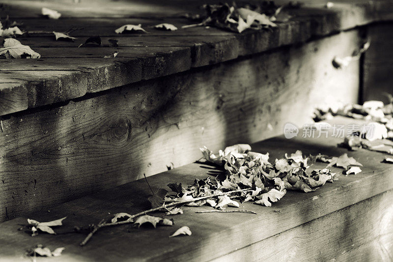 木制台阶上干燥的秋叶