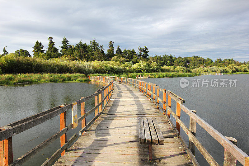 天鹅湖