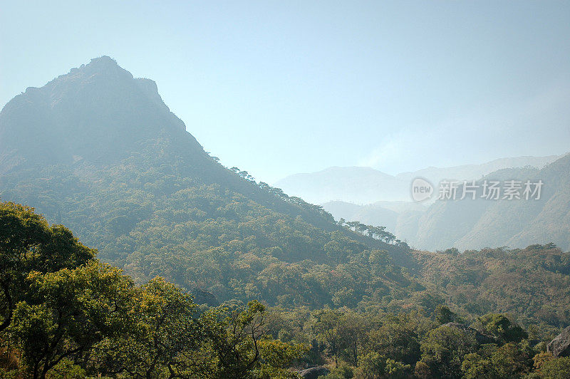 非洲南部马拉维穆兰杰山的热带森林