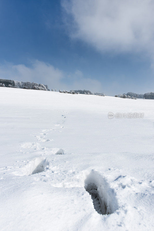 冬天雪景观阳光的脚步树蓝色多云的天空