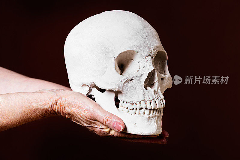 死亡的事实:老手握着人的头骨