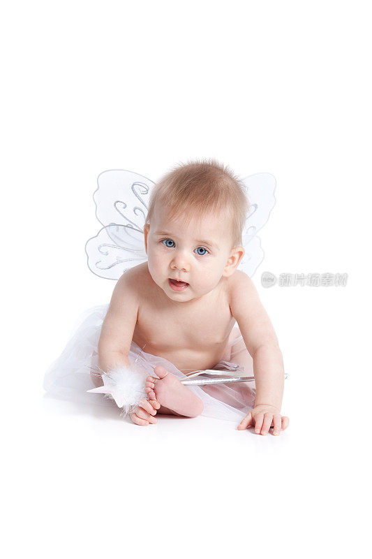天使或仙女婴儿的翅膀孤立在白色