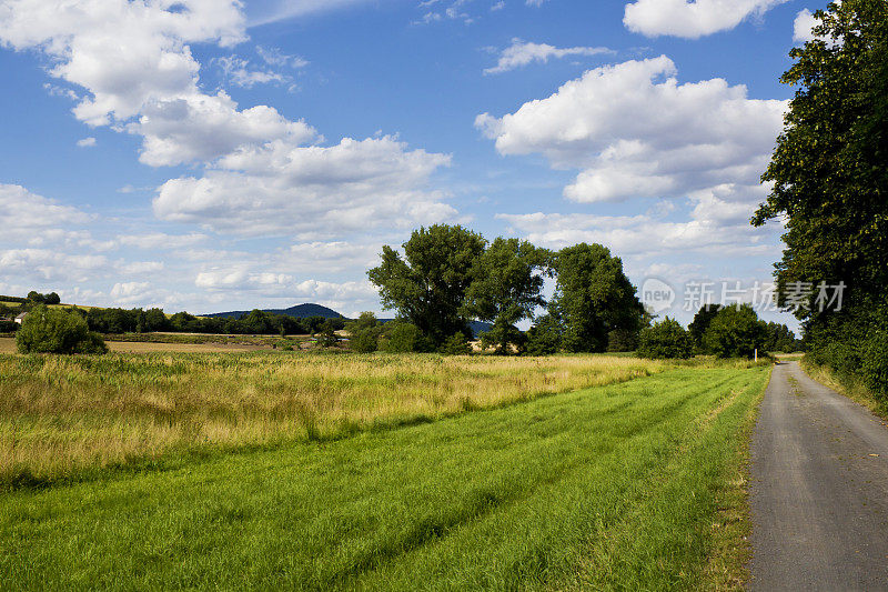 自然保护区在艾菲尔，Vulkaneifel，莱茵内陆，普法尔兹，德国