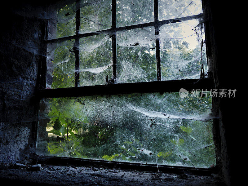 令人毛骨悚然的蛛网覆盖的窗户