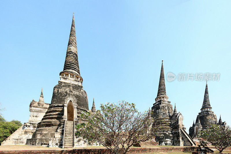 泰国大城府的佛寺寺