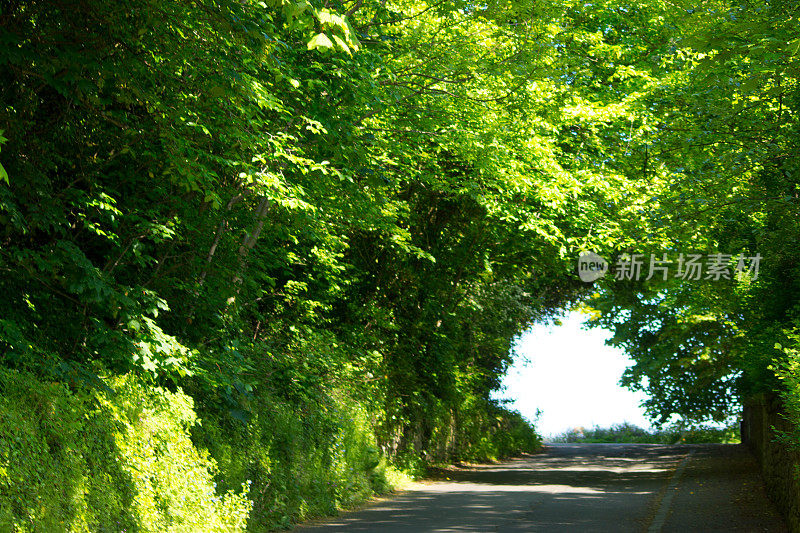 英国诺森伯兰郡的一条乡村公路