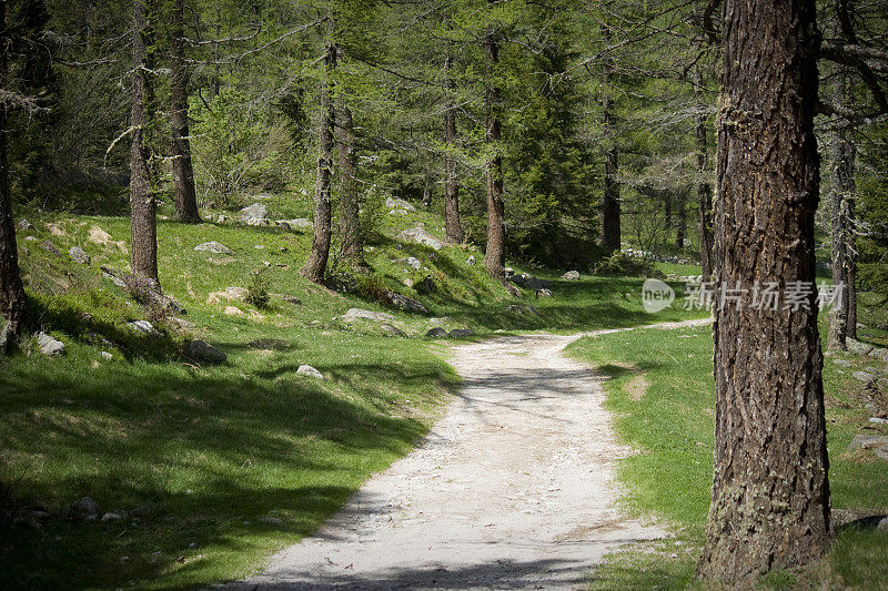 山路