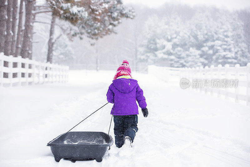 在冬季暴风雪中拉雪橇的女孩的后视图