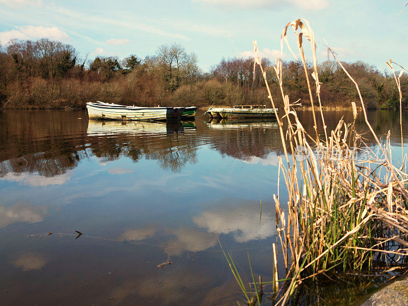 旧划艇停泊在池塘上