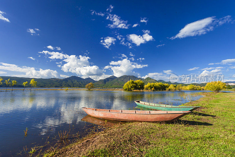 秋天的湿地