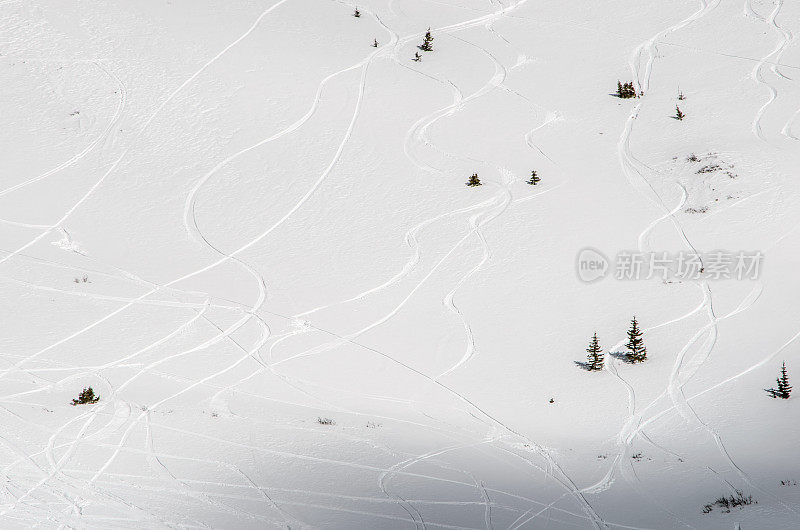 高山粉末雪上的新鲜滑雪轨迹