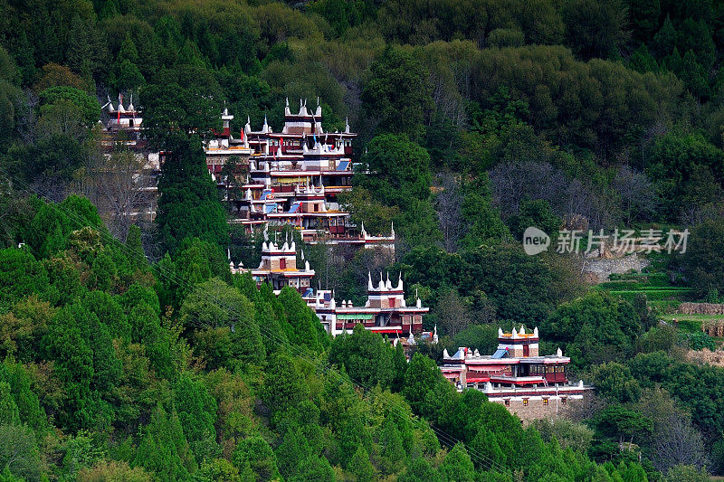 嘉居藏族006村