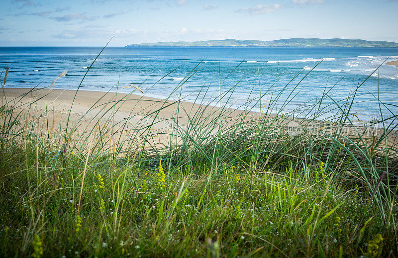 爱尔兰西海岸的沙丘。