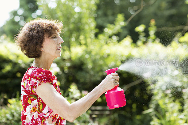 老妇人在花园里浇水