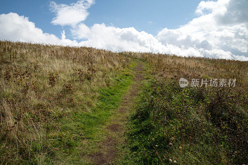 通过现场跟踪