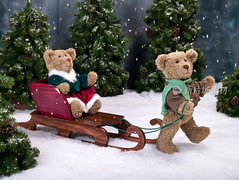 圣诞泰迪熊和雪橇
