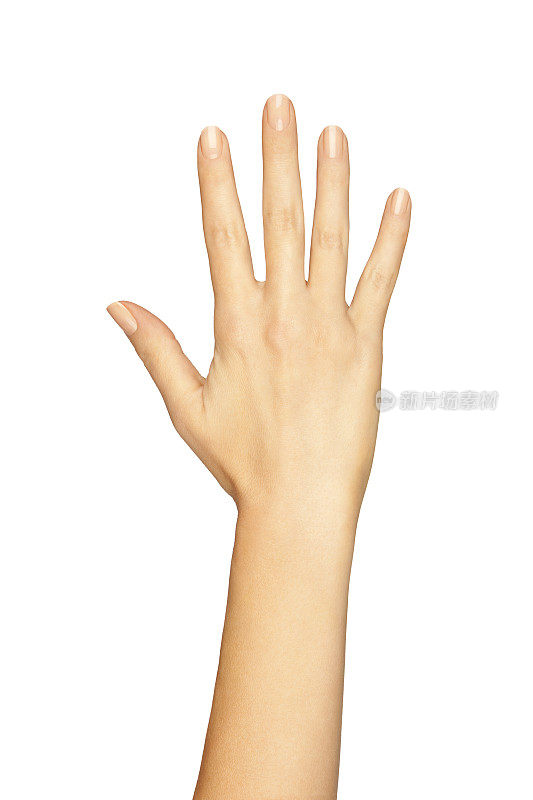 女人的手在白色背景上显示五个手指