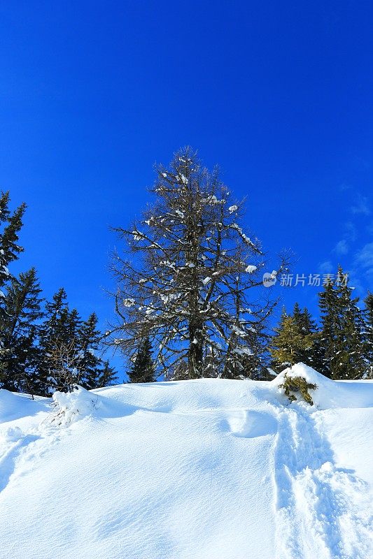 冬季在圣约翰-阿彭多夫Skiamade滑雪胜地