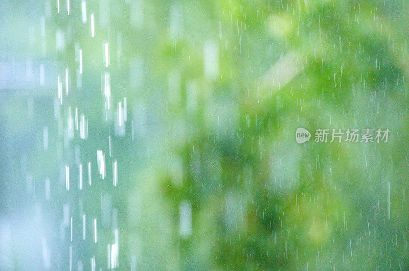 夏雨