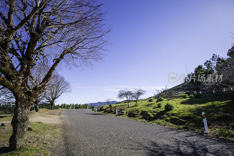 山路