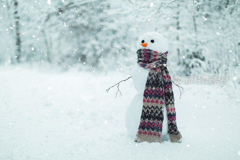 森林里的雪人