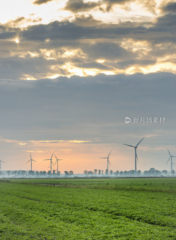 荷兰switerband附近的Windpark