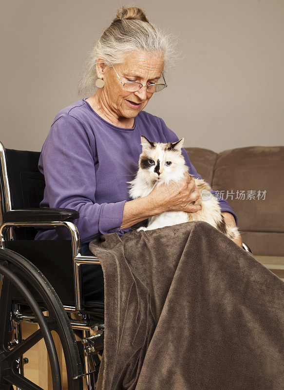 养猫的老女人