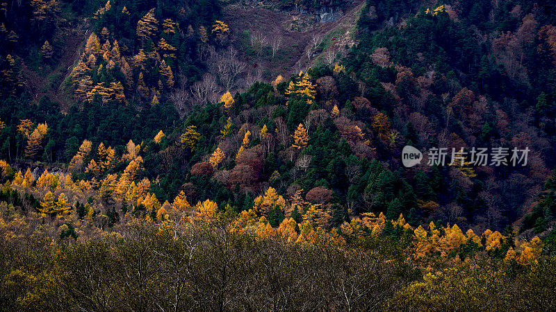 日本山坡上的一个宁静的秋景