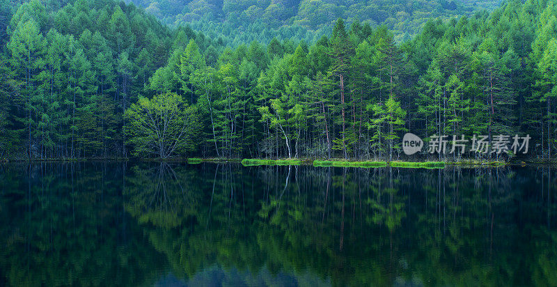 绿色的森林倒映在平静的湖面上