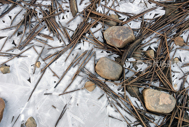 冰封的湖岸，芦苇和石头