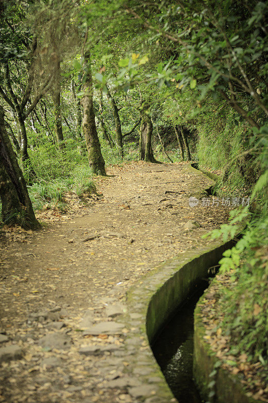 在马德拉岛徒步旅行