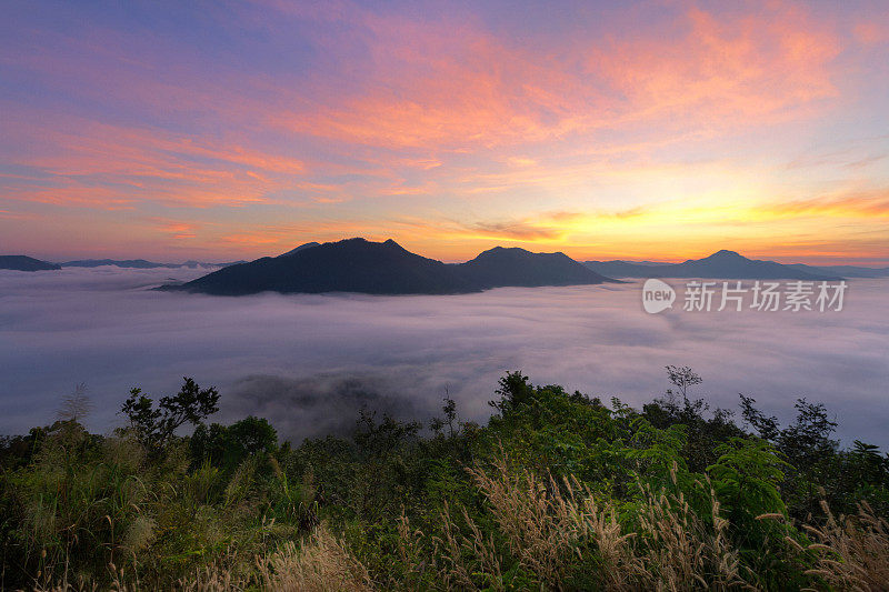泰国罗依清汗府托克山美丽的日出和雾。戏剧性的一幕。美丽的世界。