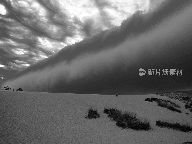 暴风雨的沙丘