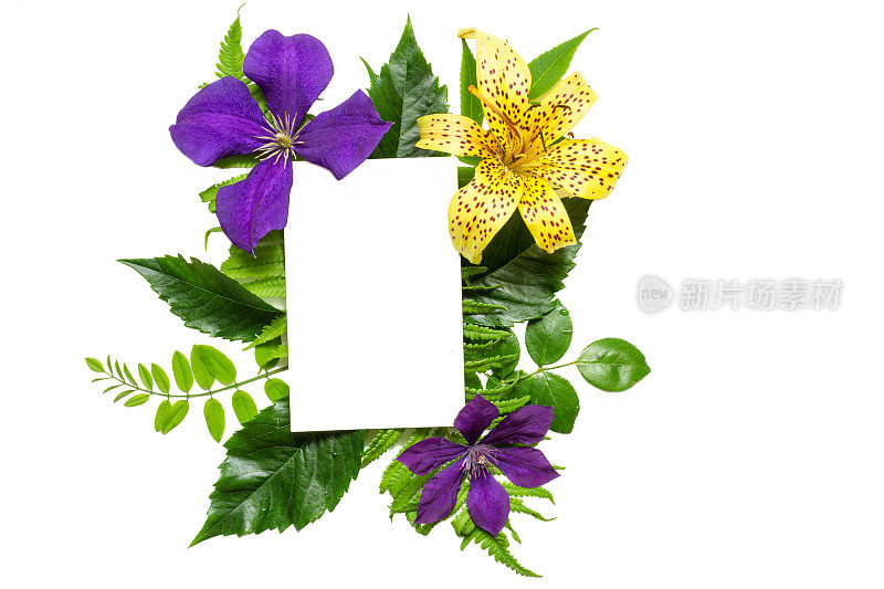 紫色和黄色的花朵，树叶和空白的白色贺卡的创意布局