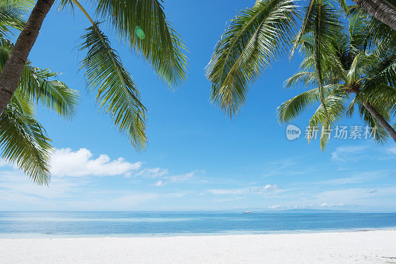 热带天堂海滩，保和岛，菲律宾