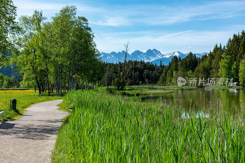奥地利阿尔卑斯山脉附近的野湖