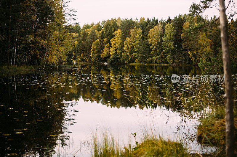 Nuuksio国家公园的秋季景观(芬兰，赫尔辛基)